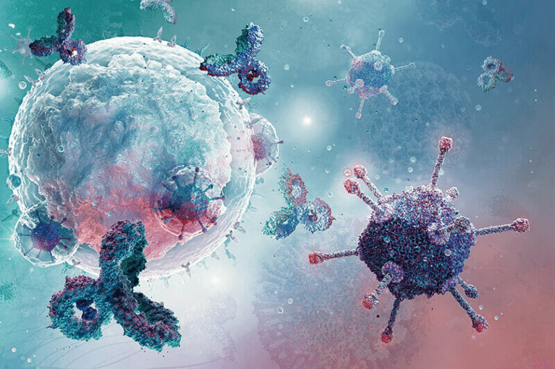 Immune Regulation